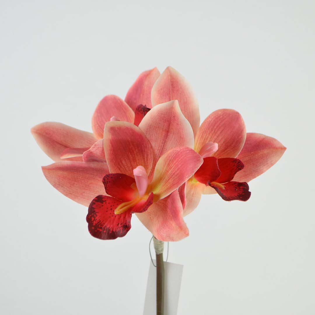 Bar Heat Orchid Stem, 3 stk., 48 cm, dark-mauv