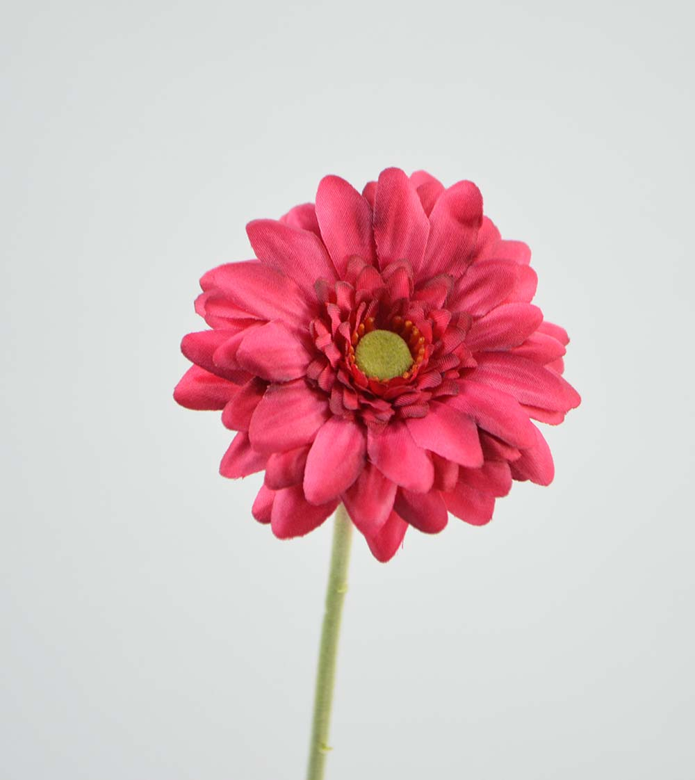Gerbera x 1, 47 cm, beauty