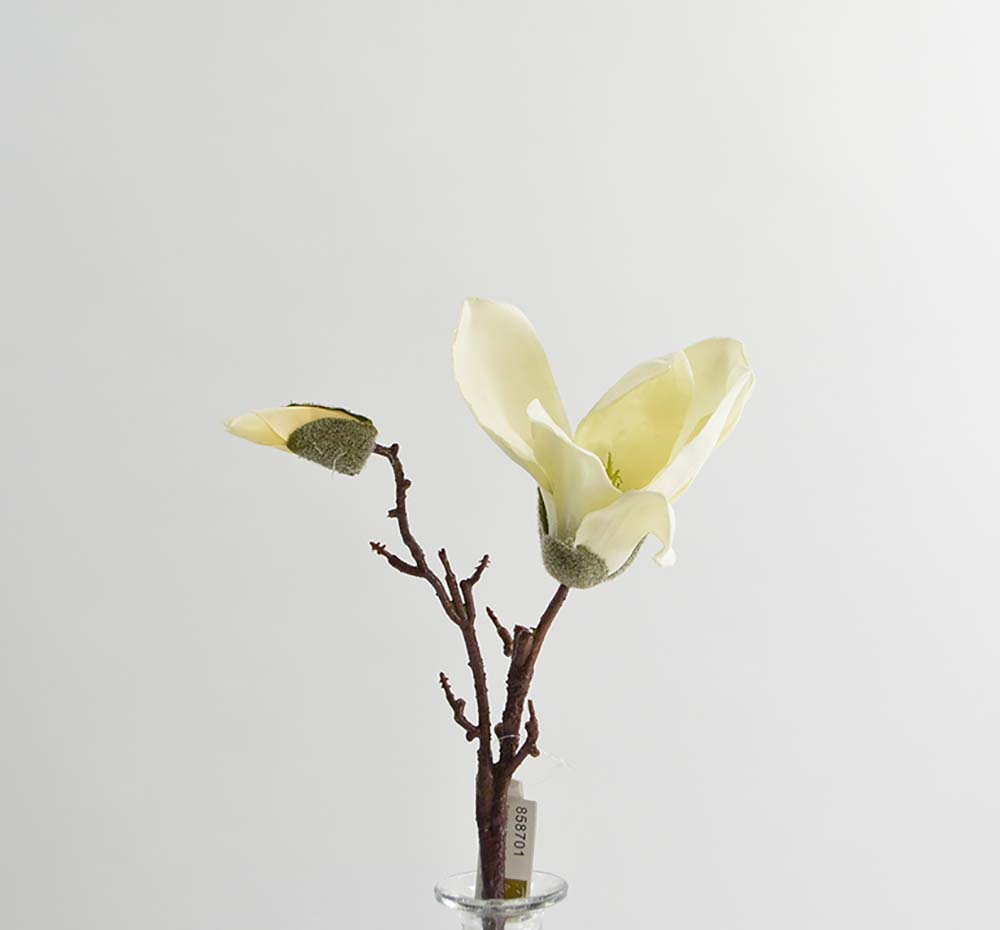 Magnolia pick, 41 cm, white