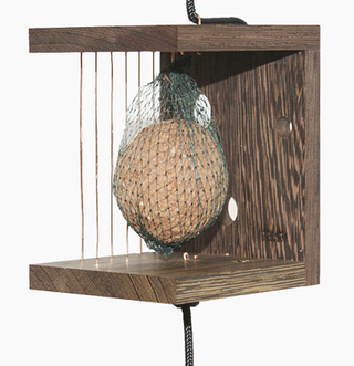Birds Café
