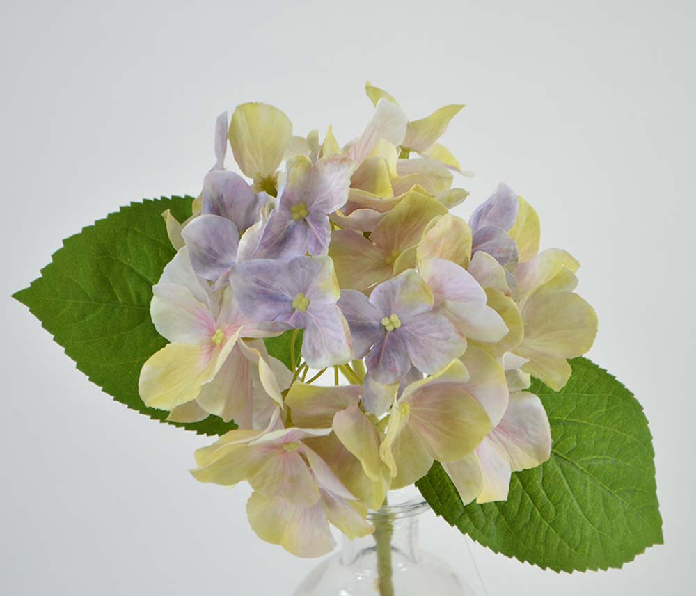 Hydrangea, 33 cm, purple-green