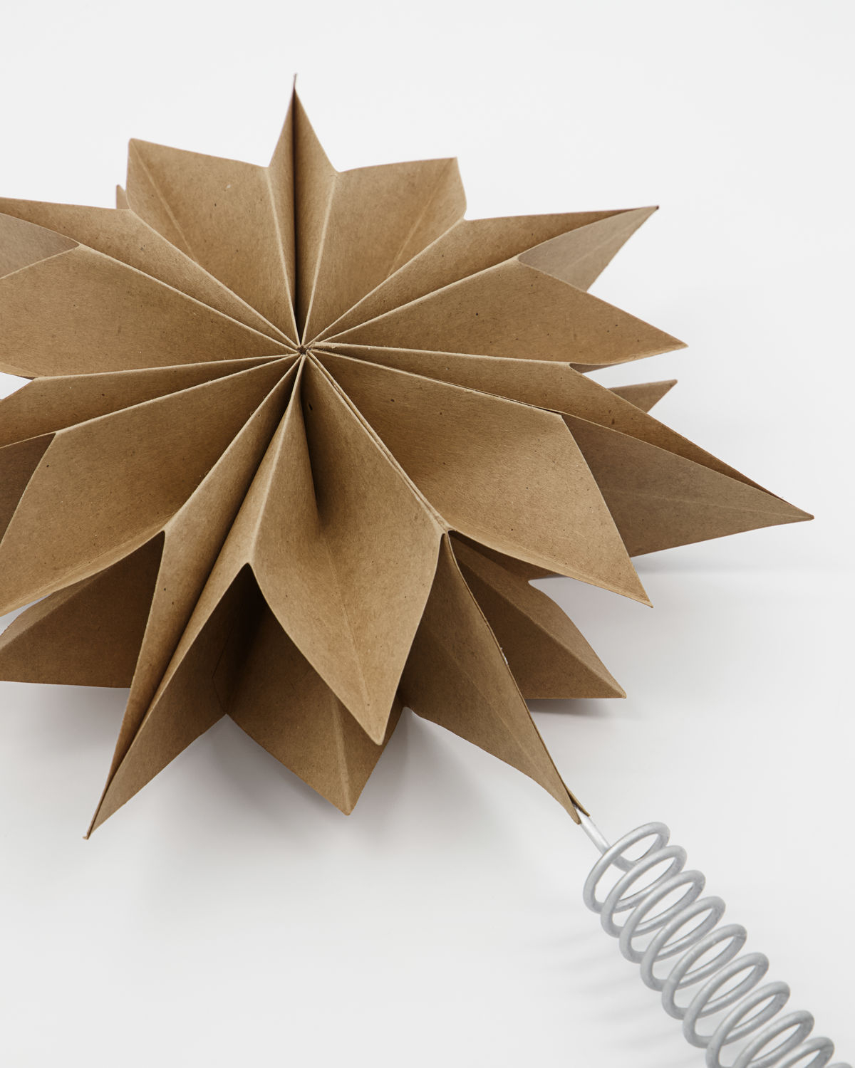 Juletræsstjerne, Capella, Natur dia. 25 cm
